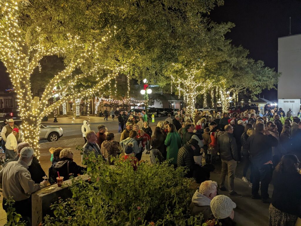 Outdoor Christmas Lights