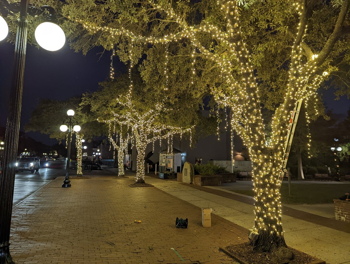 Christmas Light Hanging Service