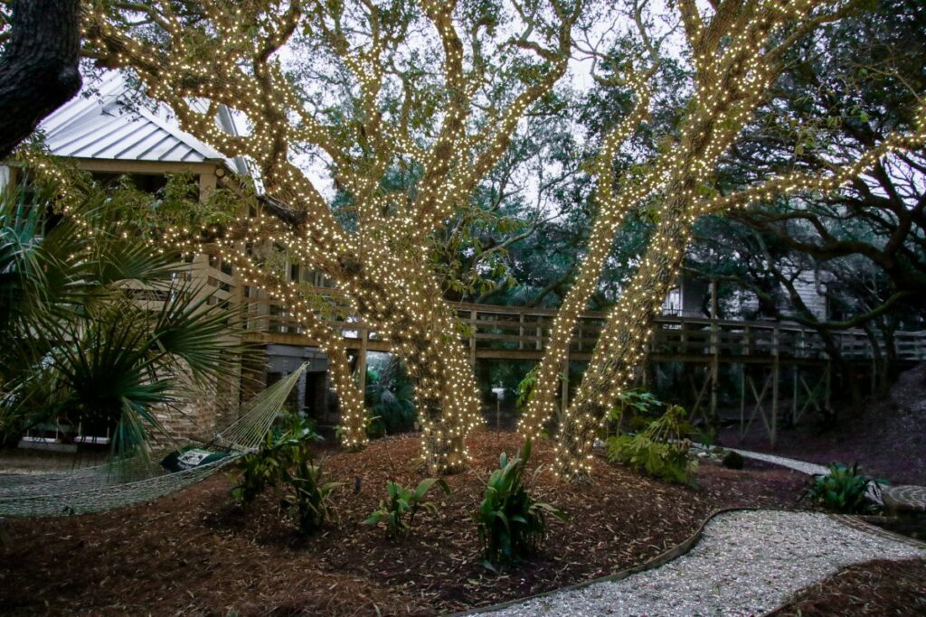 Christmas Lights Installation