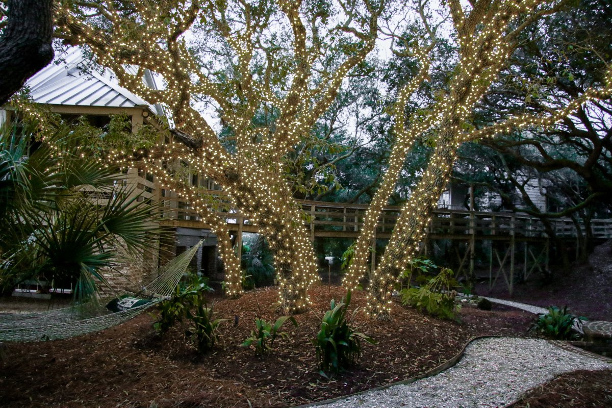 Christmas Light Service Near Me Murrel's Inlet